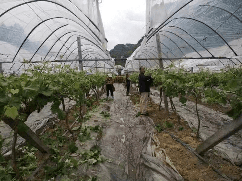 640 (6).png 640 (6).png